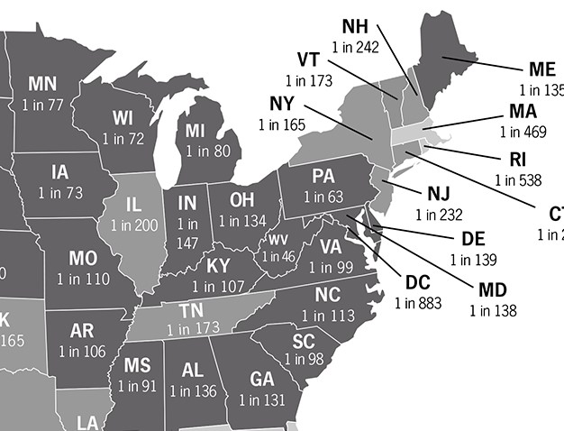 deer accident stats