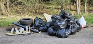 highway cleanup