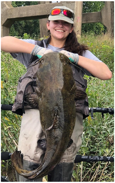 Study coauthor Sydney Stark, who recently graduated from Penn State with a master’s degree in wildlife and fisheries science, lifts a 40-pound flat-head catfish.