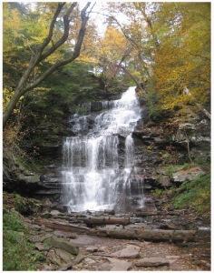 Rickets Glen