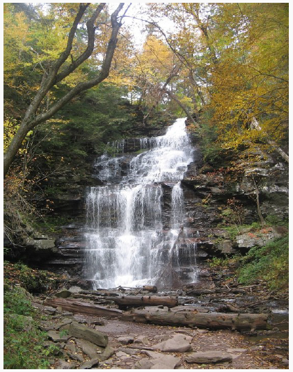Rickets Glen